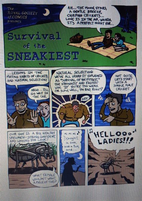 Solved Assignment Evolution Comic Strip Pick A Species Of