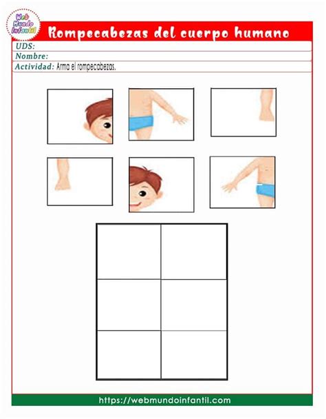 Rompecabezas Del Cuerpo Humano Partes Del Cuerpo Humano Cuerpo Humano