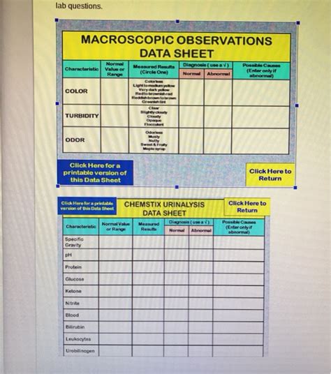 Lab Questions Macroscopic Observations Data Sheet Chegg