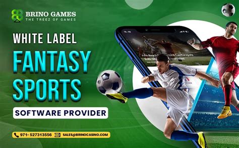 White Label Fantasy Sports Software Provider In