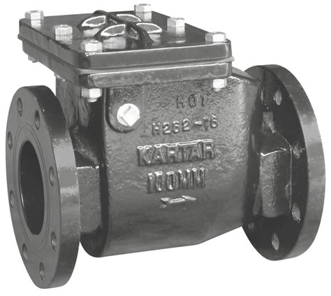 Ci Non Return Valve Kartar