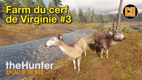 The Hunter Cotw Farm Du Cerf De Virginie Youtube