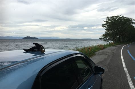 琵琶湖西岸をドライブ