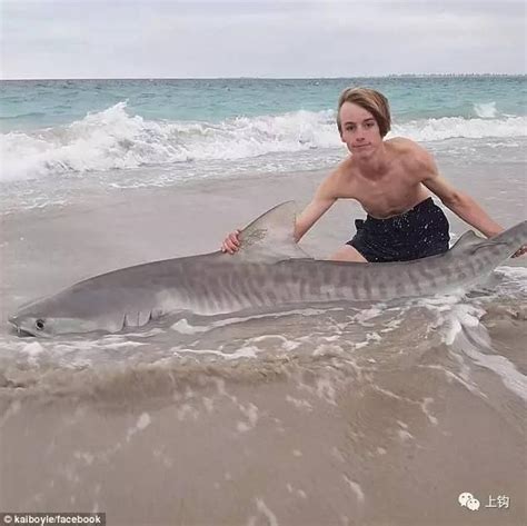 人物︱15歲的鯊魚獵手？半年釣起來64條鯊魚就問你服不服 每日頭條