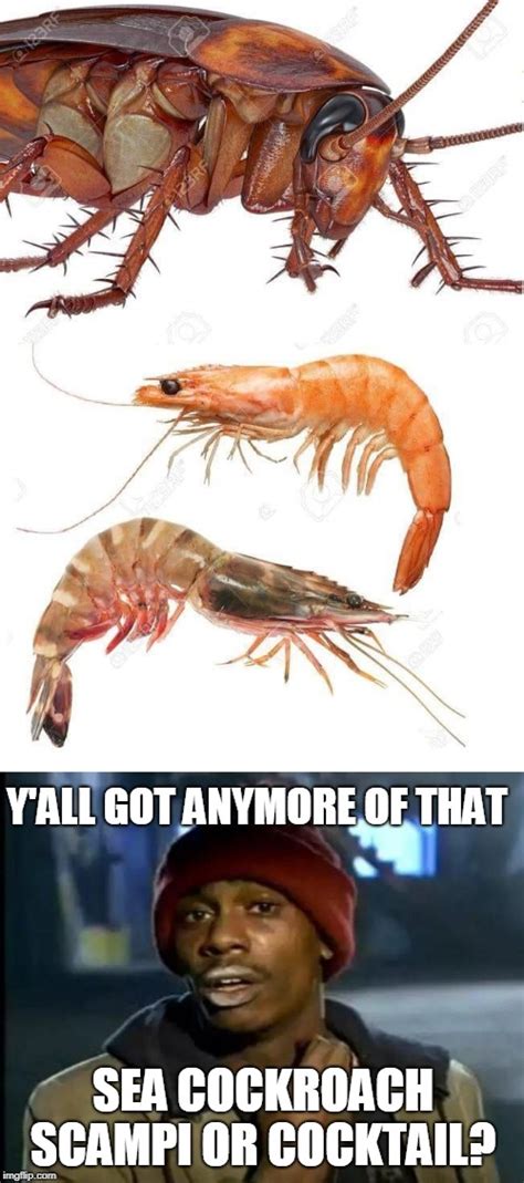 Seafood Memes And S Imgflip