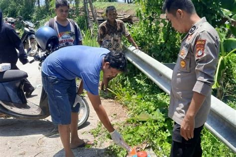 Warga Mamuju Heboh Dengan Adanya Penemuan Janin Bayi Di Pinggir Jalan