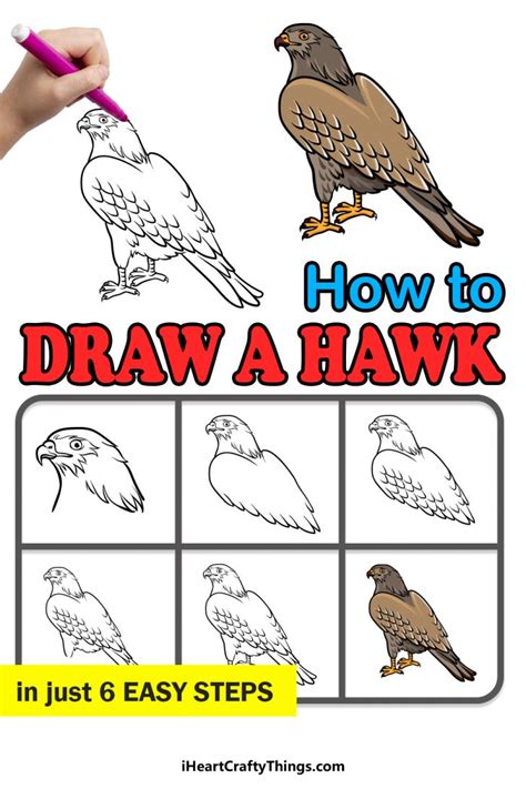 how to draw hawk Coloring pages hawk print - Step by Step Drawing