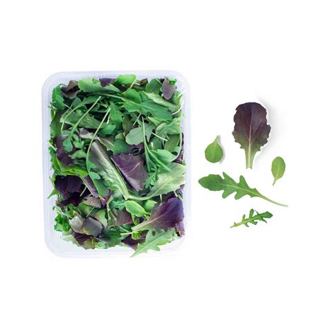 Baby Leaf – Lotus Produce