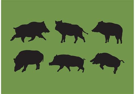 Wild Hog Silhouettes Vectors - Download Free Vector Art, Stock Graphics ...