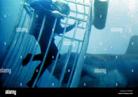 Film Jaws Shark 1975 High Resolution Stock Photography and Images - Alamy