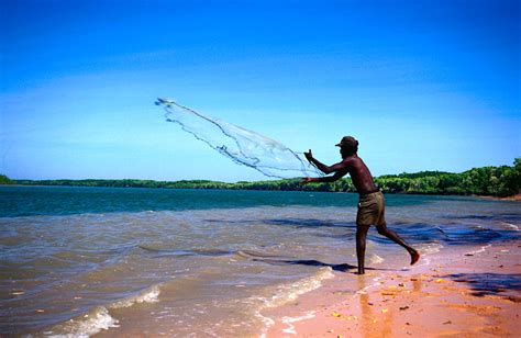 Tiwi Islands travel - Lonely Planet