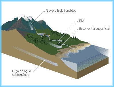 Redes fluviales Geografía 7 Básico