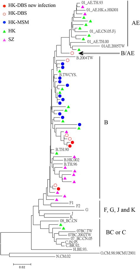 Phylogenetic Neighbor Joining Tree For Hiv 1 Pol Sequences Obtained