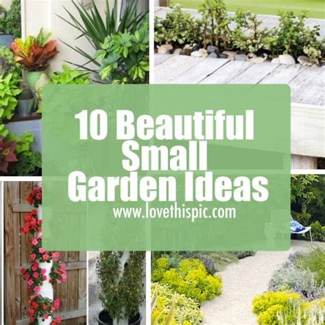 10 Beautiful Small Garden Ideas