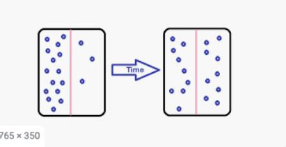 Diffusion And Osmosis Flashcards Quizlet