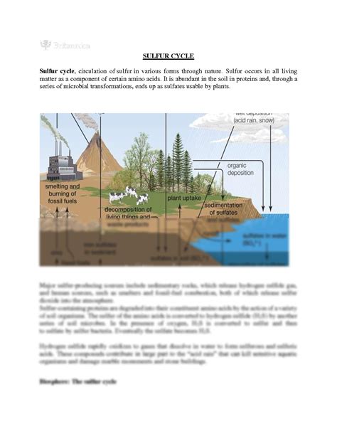 Sulfur Cycle For Dummies