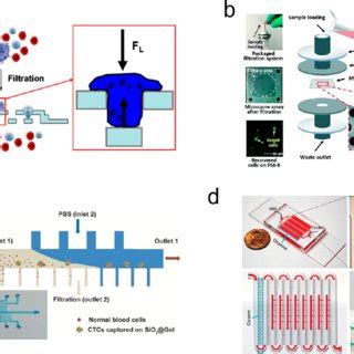 Microfilter As Functional Microstructures For Ctc Isolation A