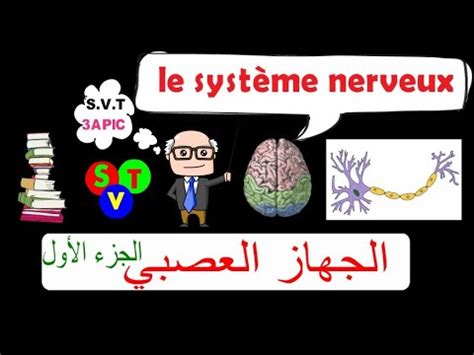 الجهاز العصبي le système nerveux الجزء الأولla sensibilité consciente