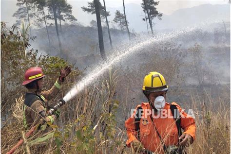 Kebakaran Di Gunung Guntur Satu Orang Menjadi Korban Republika Online