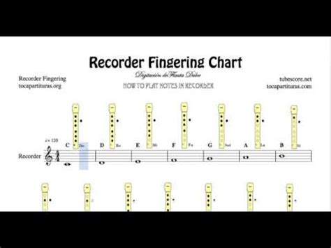 Recorder Notes For Beginners