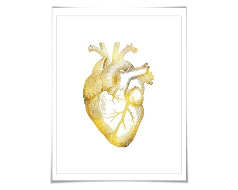 Human Heart Diagram Vintage Anatomy Poster Human Heart, 43% OFF