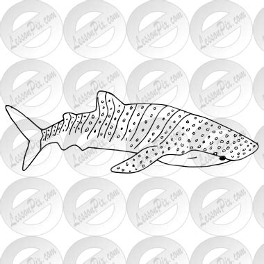 Whale Shark Outline for Classroom / Therapy Use - Great Whale Shark Clipart