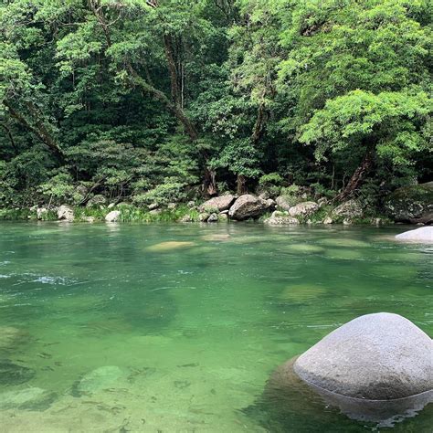 丹特里區 澳洲mossman Gorge 旅遊景點評論 Tripadvisor