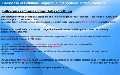 Medvasc Climat Et Risque Cv