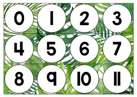 A Number Line From 0 120 In Tropical Theme Create A Large Number Line