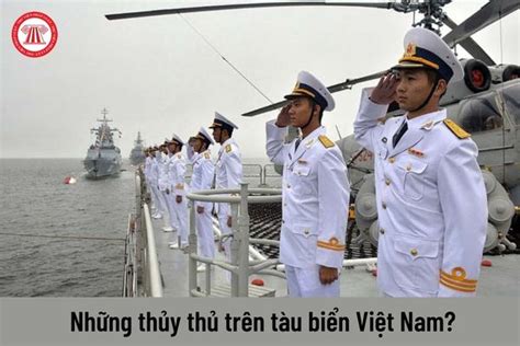 Trên tàu biển Việt Nam có những chức danh thủy thủ nào