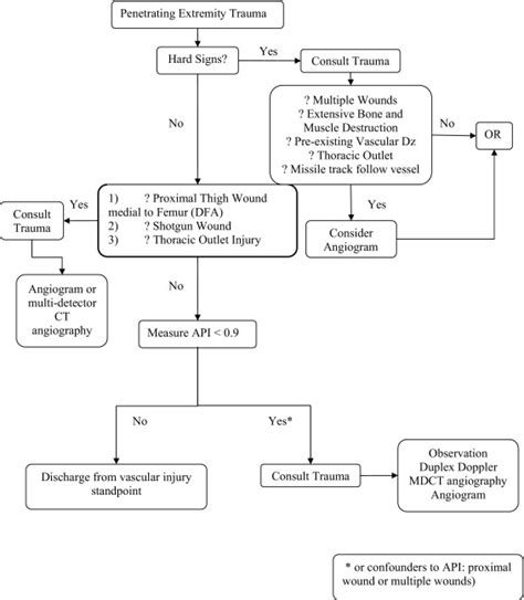 nursing assessment for bruit and thrill - FelixLatham's blog