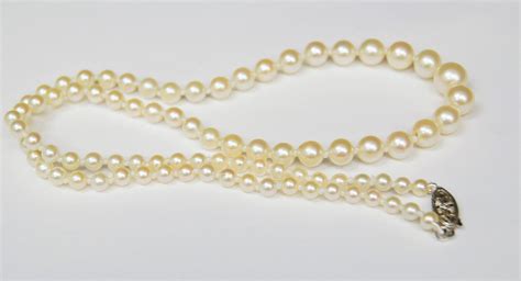 3 5mm 7 5mm Graduated Cream Akoya Cultured Pearl Single Strand Etsy