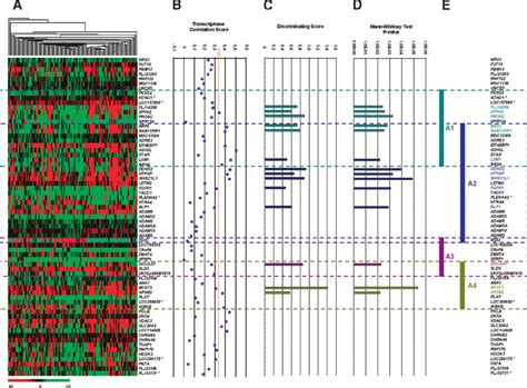 Gene Expression Analysis Of The P Region And Correlation With