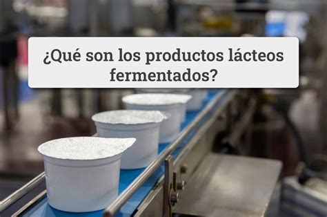 Qu Son Los Productos L Cteos Fermentados Agroglobal