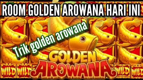 ROOM GOLDEN AROWANA HARI INI POLA ROOM ARWANA HARI INI LIVE HIGGS