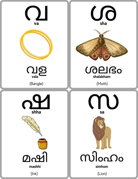 Malayalam Alphabet Flashcards Malayalam Consonants Learn Etsy The