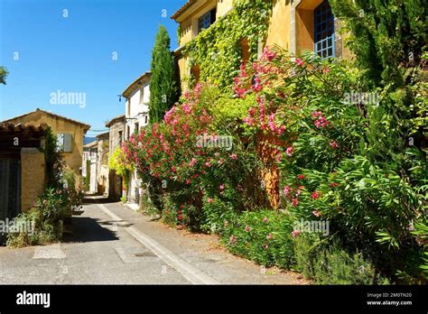 France Vaucluse Parc naturel régional du Luberon Ménerbes étiqueté