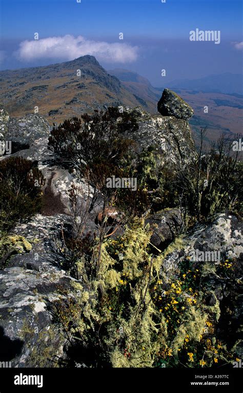 Nyangani mountain hi-res stock photography and images - Alamy