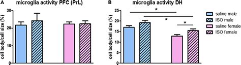 Frontiers Sex Dimorphism In Isoproterenol Induced Cardiac Damage