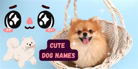 Cute Dog Names for Pawdorable Puppies!