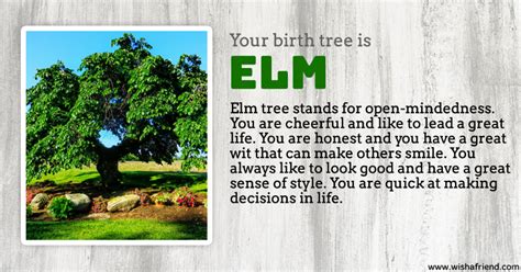 Your Birth Tree: Elm Tree