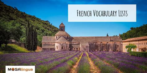 Need-to-Know French Vocabulary - MosaLingua