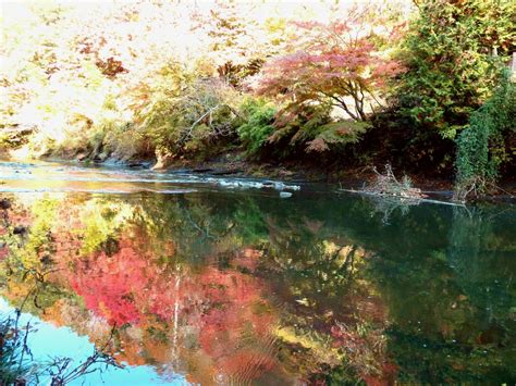 養老渓谷（紅葉） 関東地方の絶景スポット 日本絶景探訪