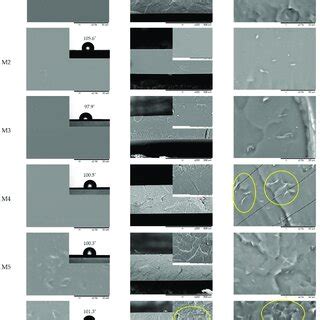 Surface And Cross Sectional Morphology Of Pdms And Pdms Mgo Membranes