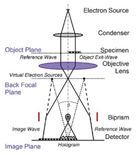 1 Schematic Of The Electron Optical Setup For Off Axis Electron