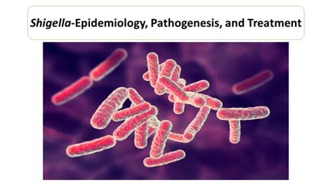 Clinical Symptoms of Shigella - Microbiology Notes