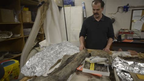 Dinosaur hunter makes rare discovery in North Carolina