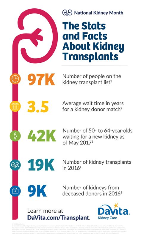 How Kuch To Donate A Kidney