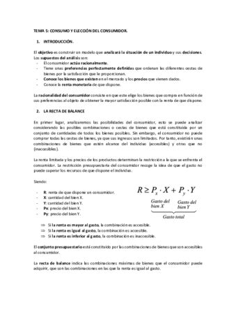 Tema Microeconomia Pdf