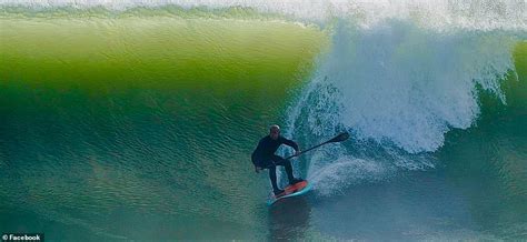 Cape Cod Surfers Have Close Encounter With 10ft Great White Shark